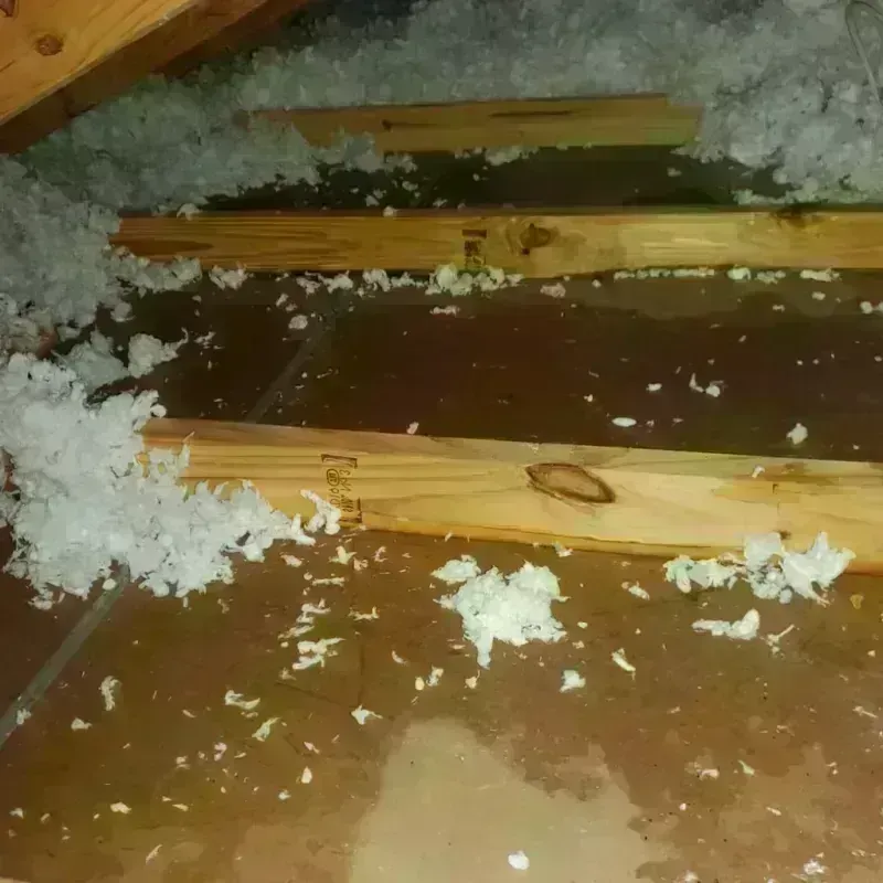 Attic Water Damage in Wapato, WA